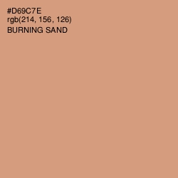#D69C7E - Burning Sand Color Image